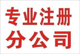 重庆南岸财务代理代账与会计审计服务的价值解析